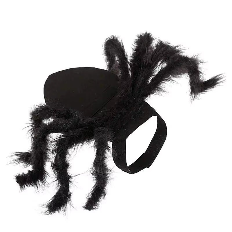 🕸️🐾 CocoBellas “Creepin’ It Real” Spider Costume