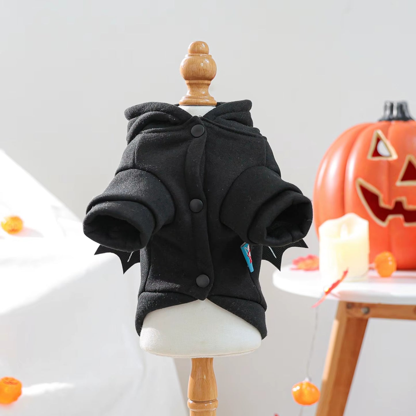 🎃 CocoBellas “Howl-o-Ween” Cozy Pet Sweater