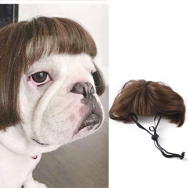 💇♀️🐾 CocoBellas “Bad Hair Day” Pet Wig Collection