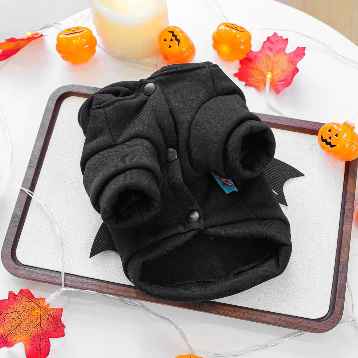 🎃 CocoBellas “Howl-o-Ween” Cozy Pet Sweater