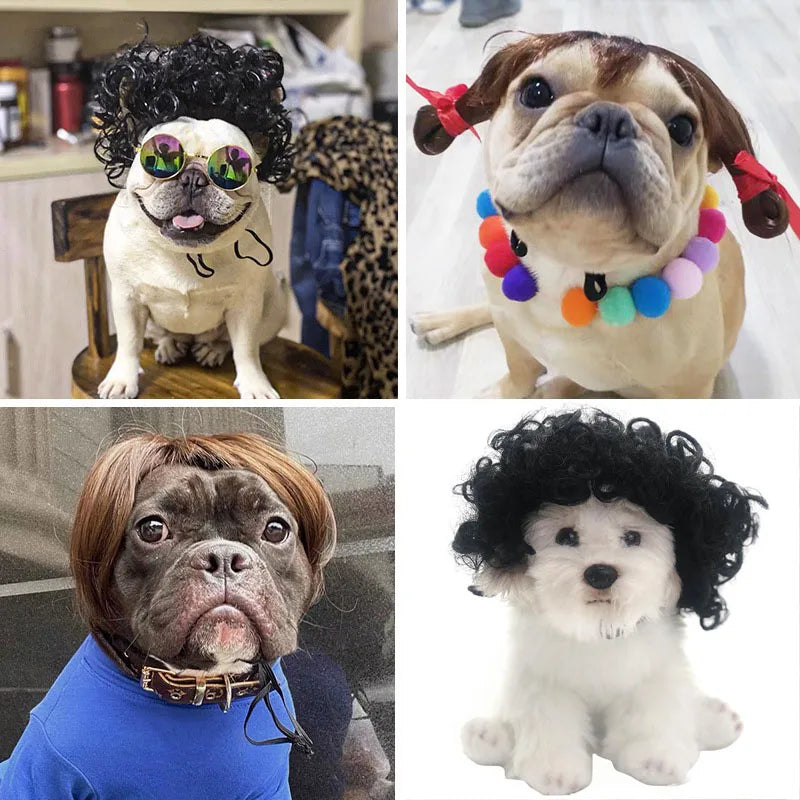 💇♀️🐾 CocoBellas “Bad Hair Day” Pet Wig Collection