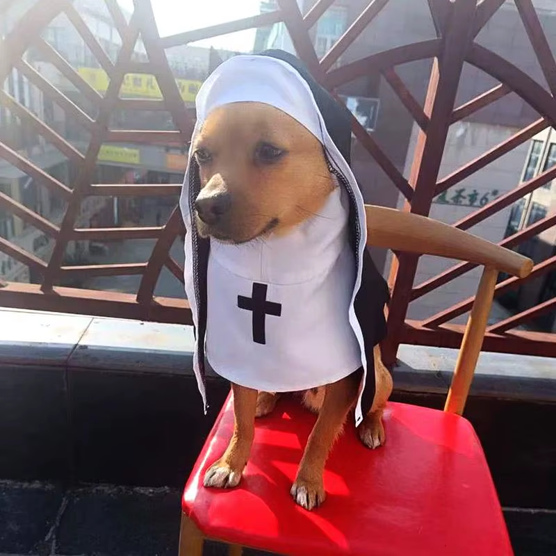 🙏🐾 CocoBellas “Holy Paw” Pet Nun Costume