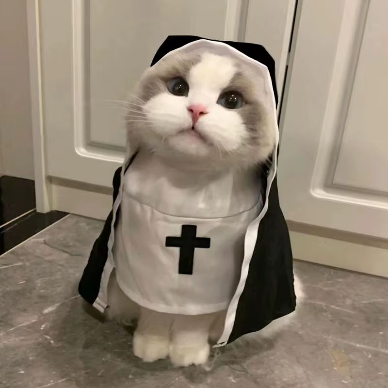 🙏🐾 CocoBellas “Holy Paw” Pet Nun Costume