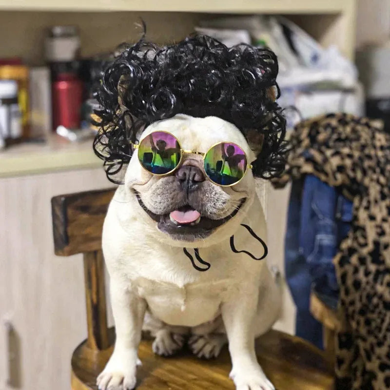 💇♀️🐾 CocoBellas “Bad Hair Day” Pet Wig Collection