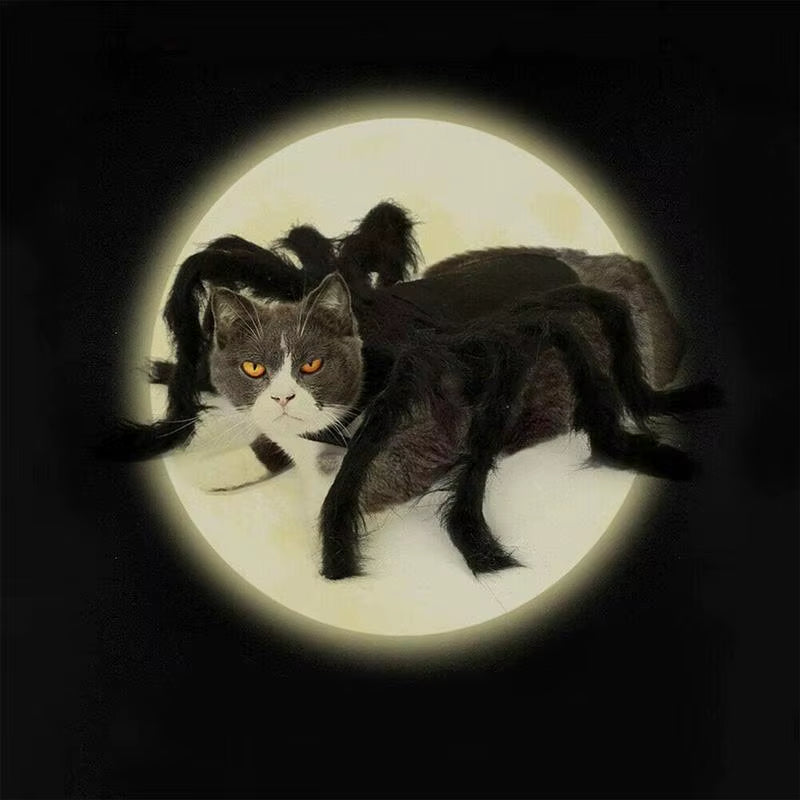 🕸️🐾 CocoBellas “Creepin’ It Real” Spider Costume