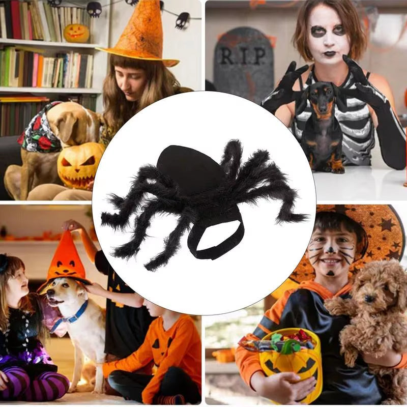 🕸️🐾 CocoBellas “Creepin’ It Real” Spider Costume