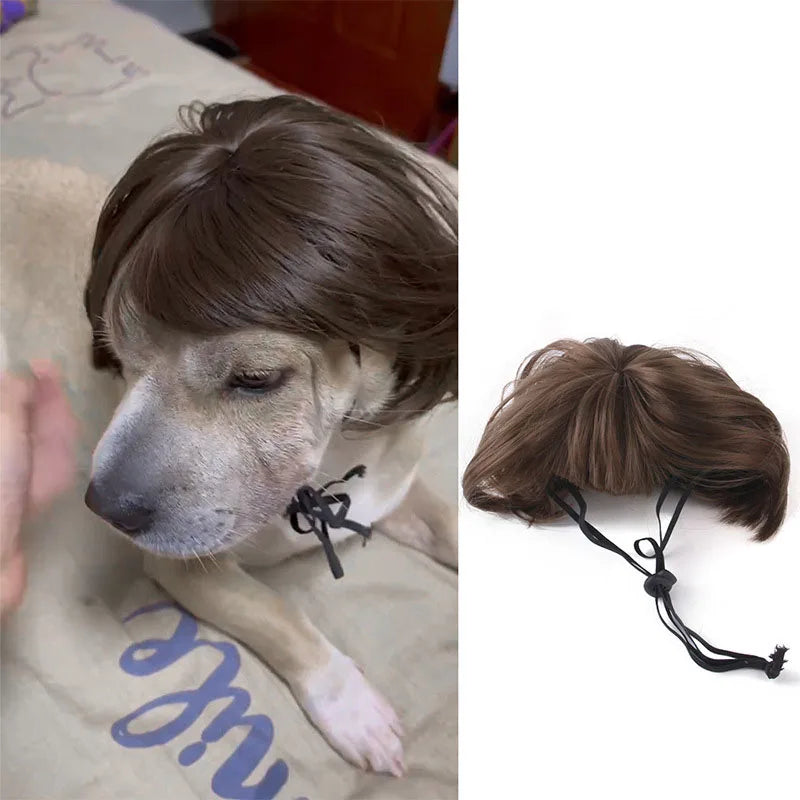 💇♀️🐾 CocoBellas “Bad Hair Day” Pet Wig Collection
