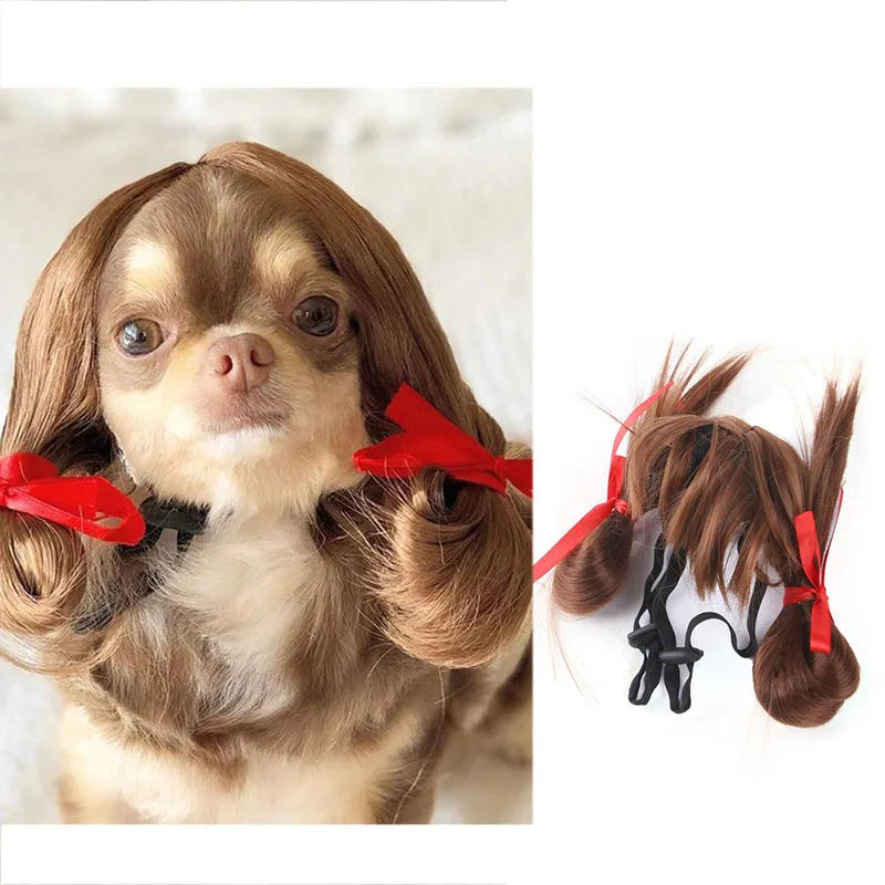 💇♀️🐾 CocoBellas “Bad Hair Day” Pet Wig Collection