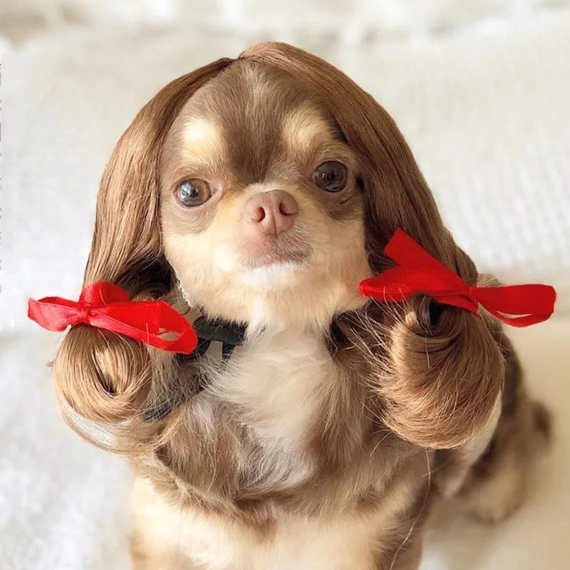 💇♀️🐾 CocoBellas “Bad Hair Day” Pet Wig Collection