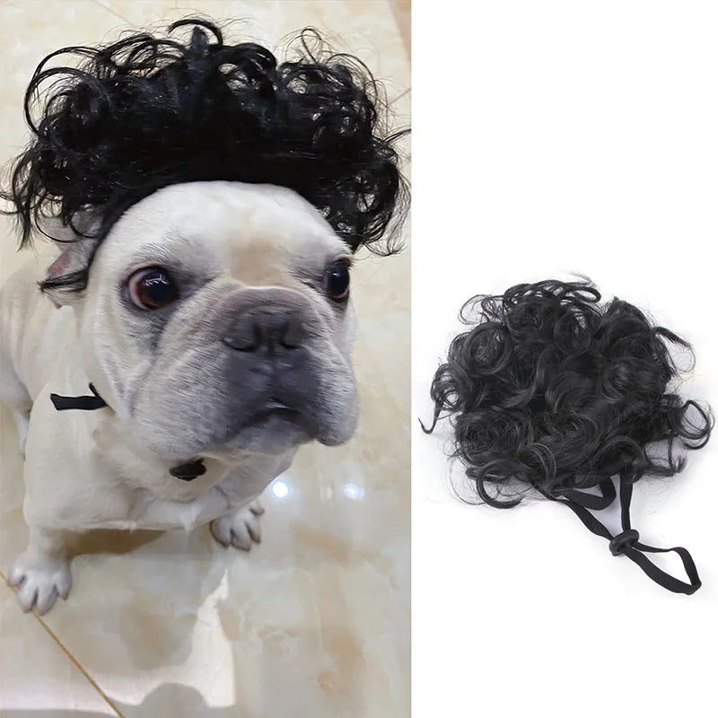💇♀️🐾 CocoBellas “Bad Hair Day” Pet Wig Collection