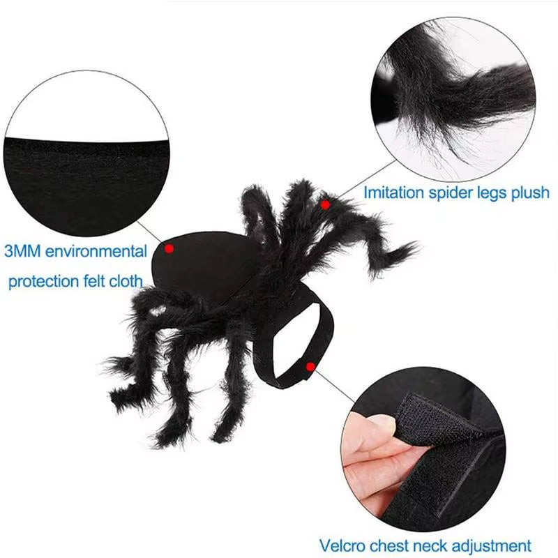 🕸️🐾 CocoBellas “Creepin’ It Real” Spider Costume