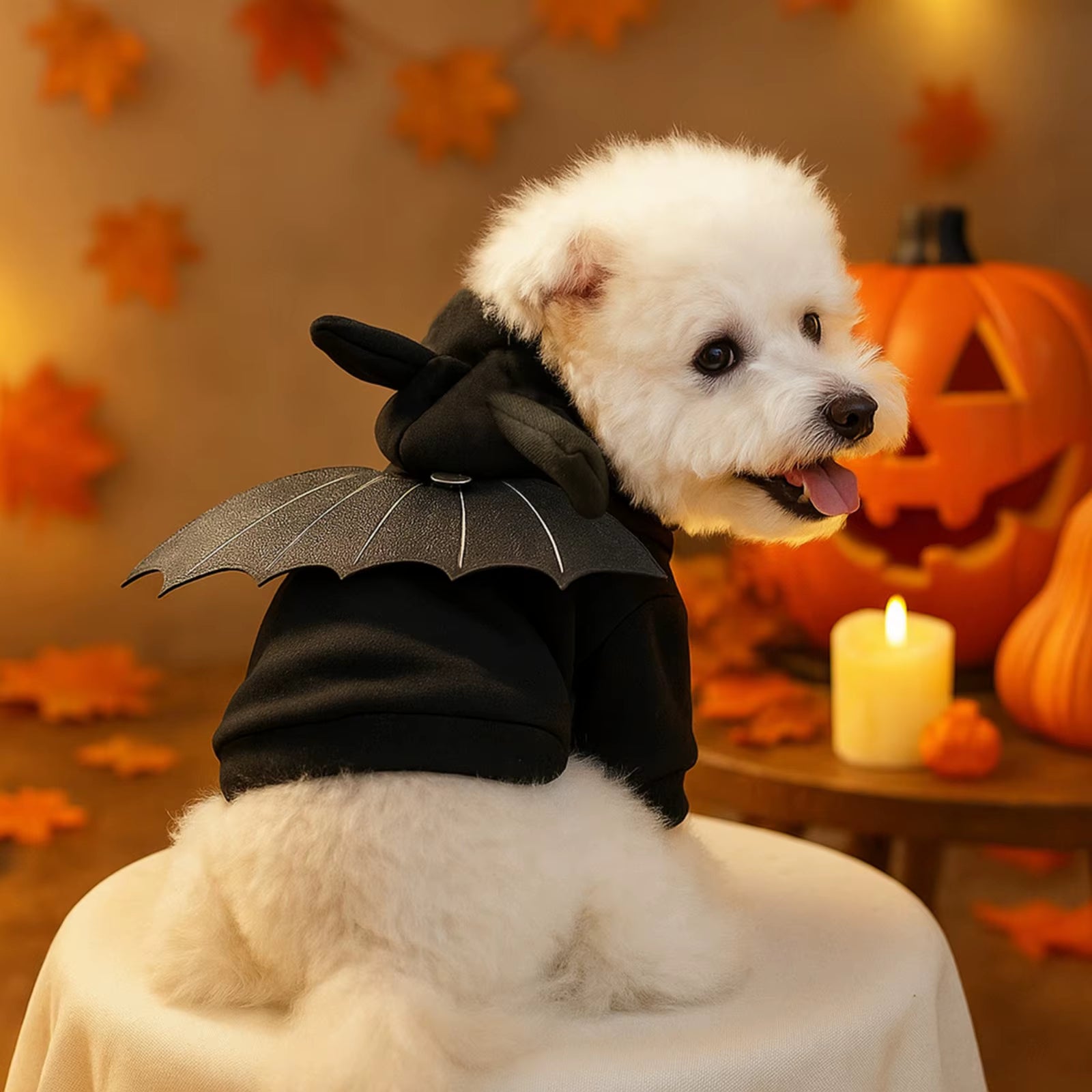 🎃 CocoBellas “Howl-o-Ween” Cozy Pet Sweater